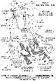 1968-70 Ignition Shielding Diagram Thumbnail